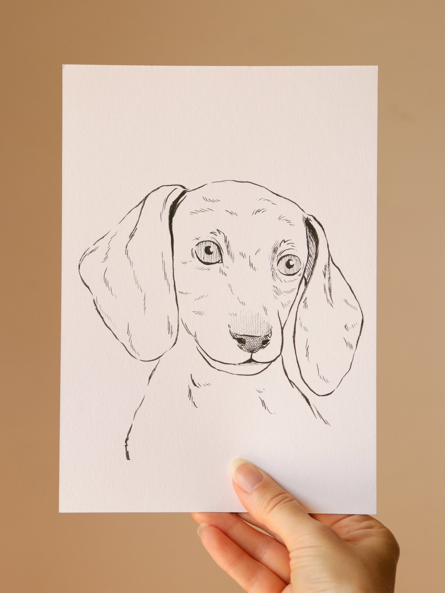 Hand-drawn Pet Portrait, Custom original Pet Illustration, A5