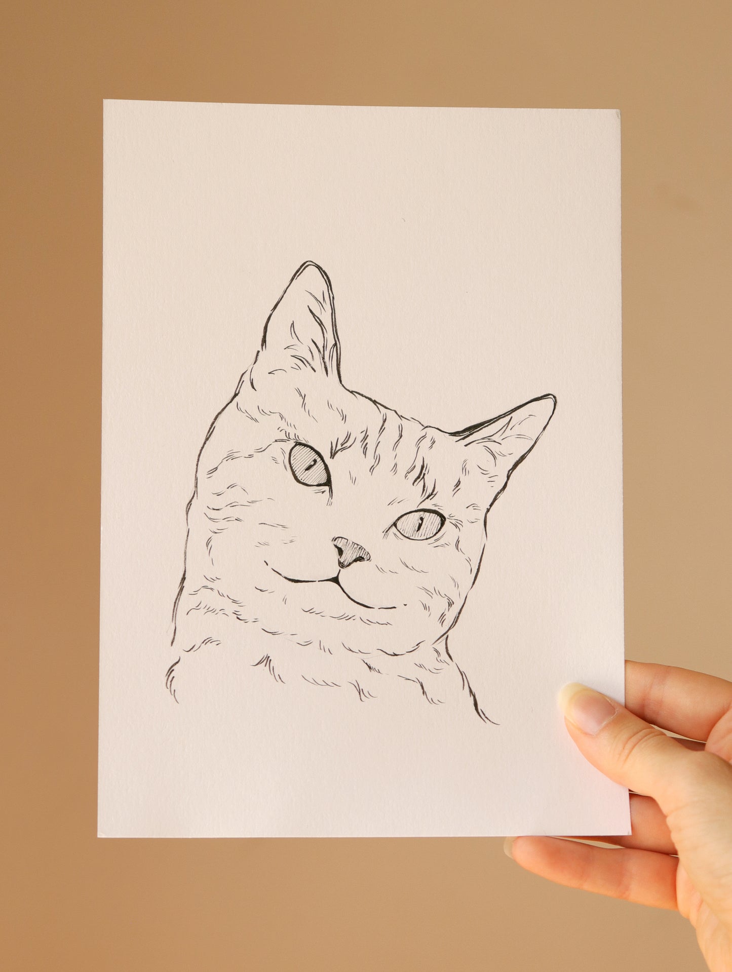 Hand-drawn Pet Portrait, Custom original Pet Illustration, A5