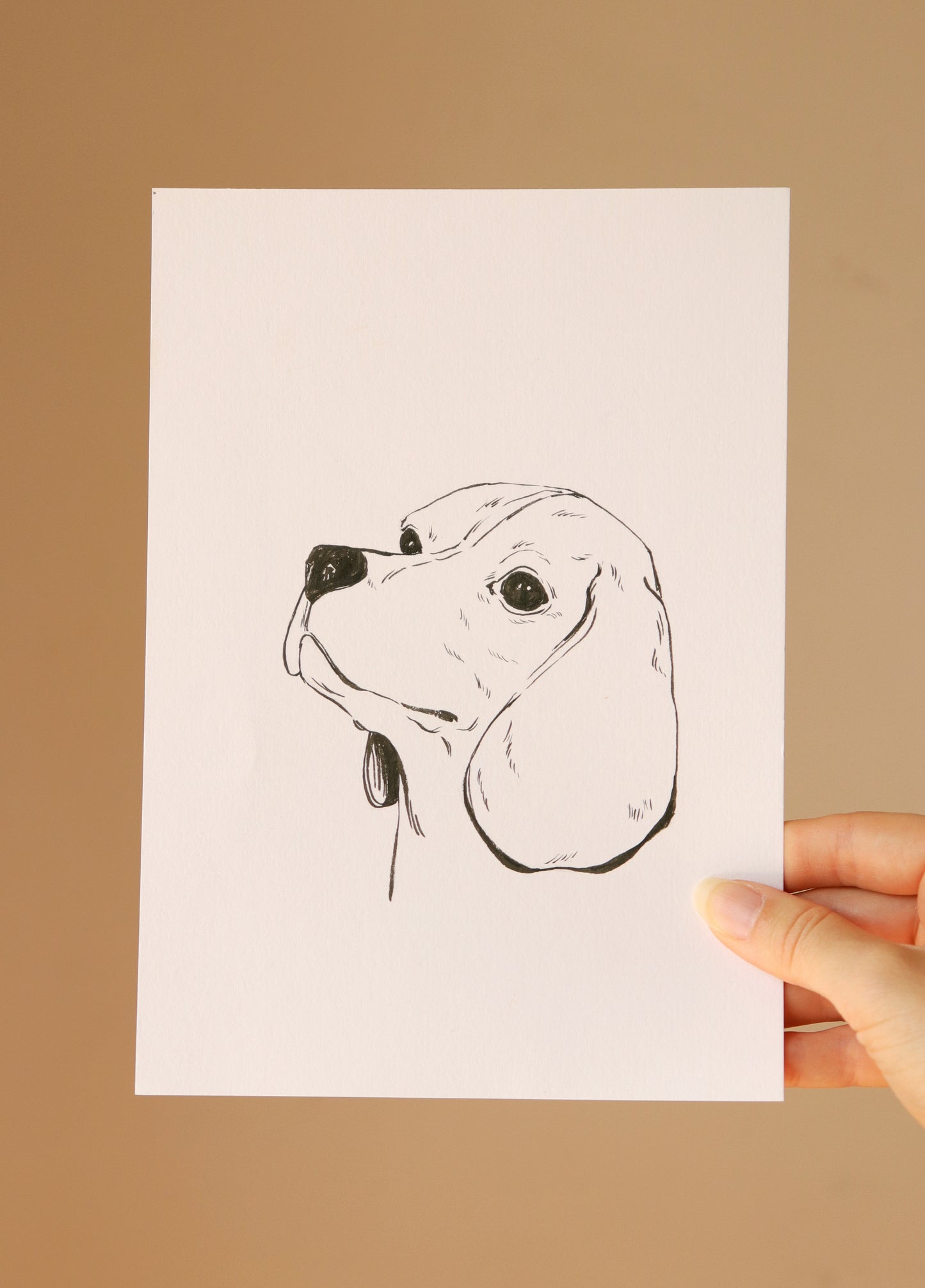 Hand-drawn Pet Portrait, Custom original Pet Illustration, A5