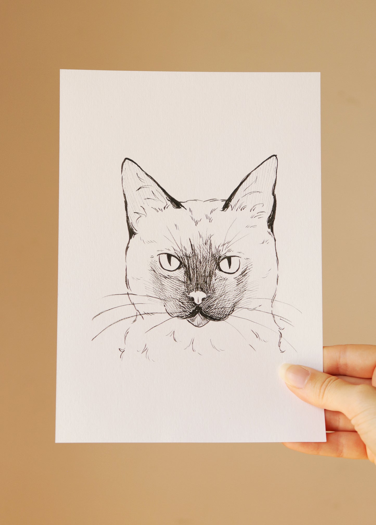Hand-drawn Pet Portrait, Custom original Pet Illustration, A5